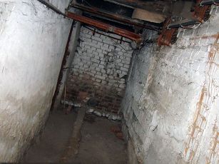 Блохи часто приходят из подвала